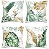 Bonhause Housse de Coussin Cactus Tropical 45 x 45 cm Fleur Feuille Plantes Succulentes Velours Doux Décoratif Été Taie d'oreiller pour Salon Chambre Maison Jardin Extérieur Décoration 4 Pièces Bonhause Housse de Coussin Cactus Tropical 45 x 45 cm Fleur Feuille Plantes Succulentes Velours Doux Décoratif Été Taie d'oreiller pour Salon Chambre Maison Jardin Extérieur Décoration 4 Pièces