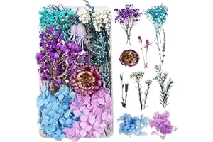 DOG'S BOOTY Flores Secas Naturales Flores Secas para Resina Flores Secas Naturales Decorar Flores Secas Manualidades DIY Joyería Vela Arte de Uñas Artesanía Scrapbooking Decoración Floral（Azul y Morado）