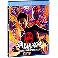 Spider-Man: Across The Spider-Verse - Bd + Card