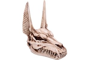 Nemesis Now Anubis figurka czaszki 17 cm, żywica, szarobrązowa, jeden rozmiar