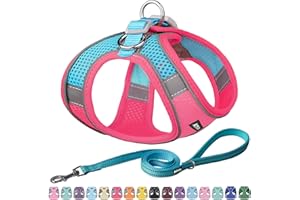 AIITLE Escape-Proof Teacup Dog Harness - Ultra-Thin Cooling Mesh & Reflective Trim, Perfect for Boston Terrier, Shih Tzu, Pomeranian (Indoor/Outdoor Use) Hot Pink S