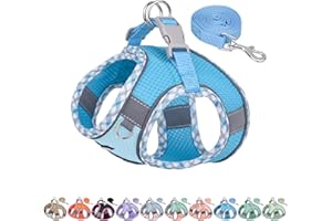 AIITLE Durable Hundegeschirr und Leine Set für Spaziergänge, Schritt in Welpengeschirr, weiche atmungsaktive Haustier Zubehör, reflektierende Bänder, für extra kleine Hunde und Hauskatzen Blau XXXS