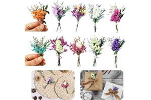 pclapora 10 stycken torkade blommor, dekorativa mini torkade blommor, små buketter torkade blommor set, naturliga torkade blombuketter för gör-det-själv album, ljus, harts, klippbok, presentkuvert