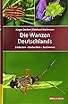 Die Wanzen Deutschlands: Entdecken – Beobachten – Bestimmen (Quelle & Meyer Bestimmungsbücher)