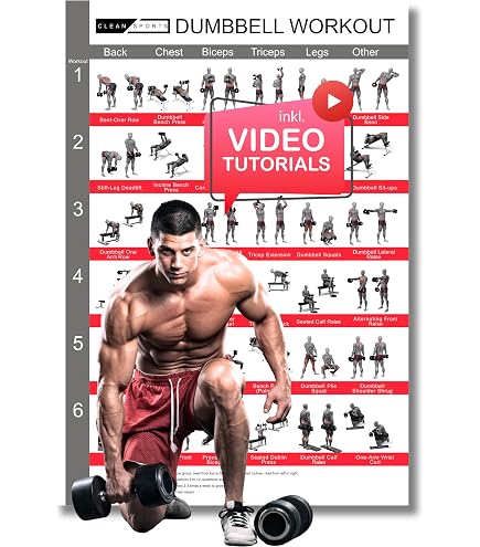 Poster Kettlebell QUICKFIT: Guida Allenamenti Illustrata, Formato 45,7x68,6 Cm, Laminato