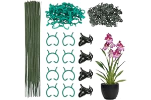 DKINY 50pcs Tuteur Vert Plante 30cm en Plastique avec Clips et Pinces Support Plantes Grimpante pour Jardin Attache Tomate Orchidée Maison Jardinage Intérieur Extérieur