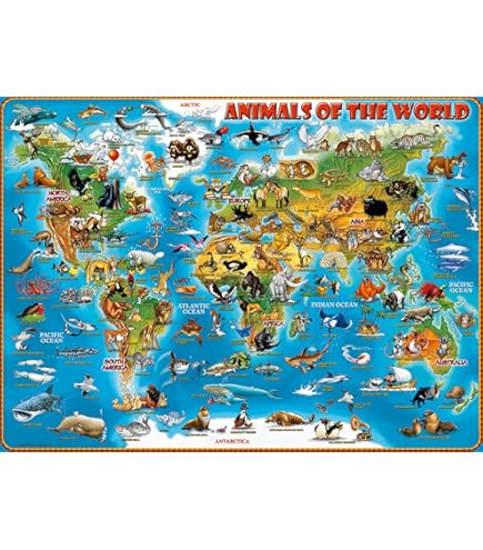 Ravensburger Puzzle Rompecabezas Mapamundi Para NiÃ±os Rompecabezas  Ravensburger Mapamundi 2000 Piezas – Shopavia