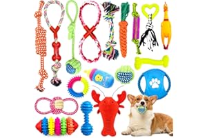 JOYBOY Jouets pour Chien - 18 Pièces Corde Durable Indestructible à Mâcher pour Petit et Moyen Chien