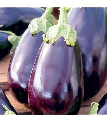 25 Semi Di Peperone Dolce Molto Lungo Delle Landes - Varietà Antica, Semi Riproducibili Non Ibridi - SemiWild