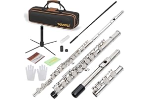 FREEAMG Closed Hole 16 Keys Flute, C Flute for Beginners Students, Flute Instrument with Carrying Case, Cleaning Kit, Stand, Gloves, Tuning Rod, Nickel