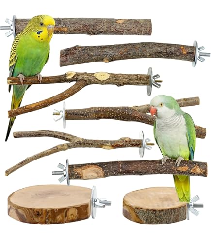 Kaytee EZ Care Pet Bird T Stand 25