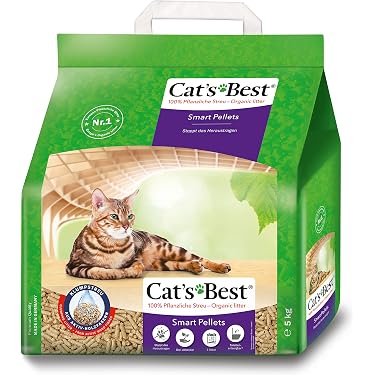 hundefutter insektenprotein Senior Hundefutter mit Insektenprotein