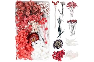 DOG'S BOOTY Trockenblumen zum Basteln Trockenblumen Deko Trockenblumen Klein Getrocknete Blumen Deko Trockenblumen Basteln Trockenblumen Set für DIY Basteln Handwerk Epoxidharz Scrapbooking Dekoration（Rot）C-047F