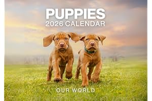 Puppy Calendar 2026, Dog Wall Calendar 2026. Large 12 Month, Month to View with Notes & Checklist Pages, UK Made by Our World