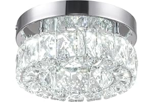 LEONTYNE Modern Crystal LED Ceiling Light,Energy-Efficient Chandelier with K9 Crystals & Stainless Steel,Dia 20cm Flush Ceiling Light for Hallway Kitchen Bedroom Living Room Lounge(Cool White)