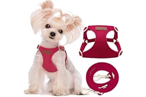 Puppytie Pettorina per Cani di Piccola Taglia - Guinzaglio per Cani Multifunzione, Leggera, Morbida, Regolabile, Senza Soffocamento, a Prova di Fuga per Animali Domestici - Rosso, XS, 2-5 kg