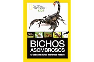 Bichos asombrosos. El fascinante mundo de arañas e insectos