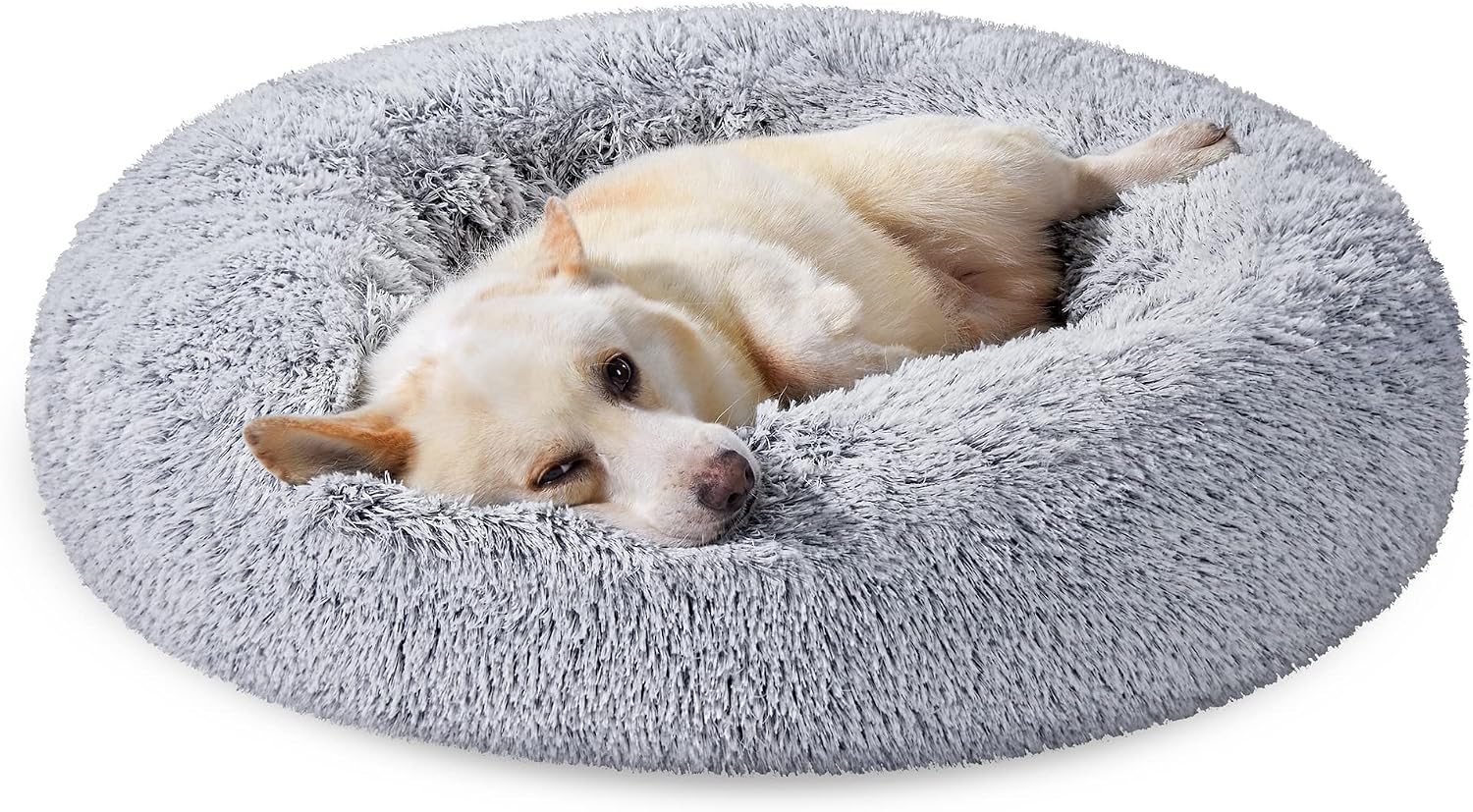 À Qui S'adresse le Feandrea Lit moelleux pour chien et chat cous ? Profils Recommandés