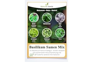 PRADEMIR Mezcla de albahaca 6 x 250 semillas de albahaca durante todo el año, plantadas de semillas de Portugal perennes