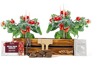 NAUKUA Kit Vintage Prêt à Pousser de Tomates Cerises - Graines biologiques cultivées en Espagne - Jardin Potager d'Intérieur pour Cultiver vos Tomates Facilement à la Maison