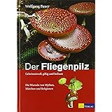 Der Fliegenpilz: Geheimnisvoll, giftig und heilsam. Die Wurzeln von Mythen, Märchen und Religionen (Edition Rauschkunde)