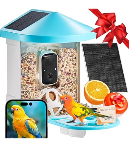 Vogelfutterhaus Mit Kamera 4K - KI-Erkennung, Nachtsicht & Solar