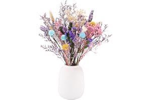 ‎XIALVYU Xialvyu 34 Stück Trockenblumenstrauß, 13 Sorten Trockenblumen Naturliche, Trockenblumen Deko Bunt, Dried Flowers, Strohblumen Getrocknet für Wohnzimmerdeko, Tischdeko, Hochzeitsarrangement