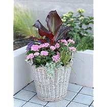 Dekoleidenschaft Pflanzkorb 'Rustikal' Aus Rattan, Ø35x25 Cm, Grau - Blumentopf Für Draußen, Mit Folie & Seitlichen Griffen