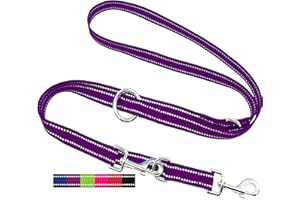 DEY - Premium Hundeleine Nylon 2m | Reflektierend | 3fach Verstellbar | für Kleine, Mittelgroße u. Große Hunde | viele Farben |Doppelleine Hund | Schleppleine | Führ-Leine | Welpenleine | Lila, L