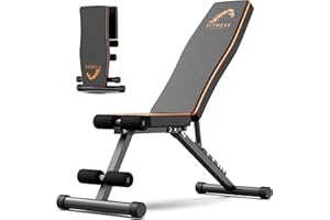 Botifly Panca Palestra Regolabile Pieghevole, Panca Palestra con 7 Posizioni Dello Schienale Regolabile, Inclinabile & Piana Panca Pesi per Allenamento con Bande di Resistenza