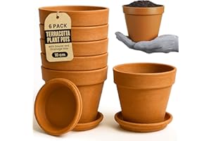 Green Thumbz Terracotta Plant Pots - 10cm x 6 Pack Large Terracotta Pots with Saucer and Drainage Hole - Flower Pots Outdoor or Indoor Use - Brown Clay Pot with Tray