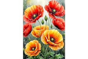 GDYEEH 5D Fleurs Colorées Diamant Painting Kit, DIY Coquelicots Art du Diamant Complet Kits, Fleurs Diamond Art Kits Strass Point de Croix Painting pour Adultes Débutants Maison Décor 30x40 cm