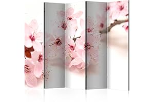 BIOMBO B&D XXL murando Biombo 225x172 cm de Impresion Bilateral en el Lienzo de TNT Decoracion Foto Biombo de Madera con Imagen Impresa Separador Grande Home Office b-B-0151-z-c