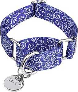 dazzber martingale collar