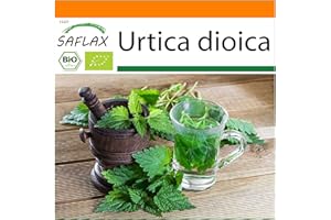 SAFLAX - Set regalo - Ecológico - Ortiga - 2000 semillas - Con caja regalo/envío, etiqueta para envío, tarjeta de felicitación y sustrato de cultivo - Urtica dioica
