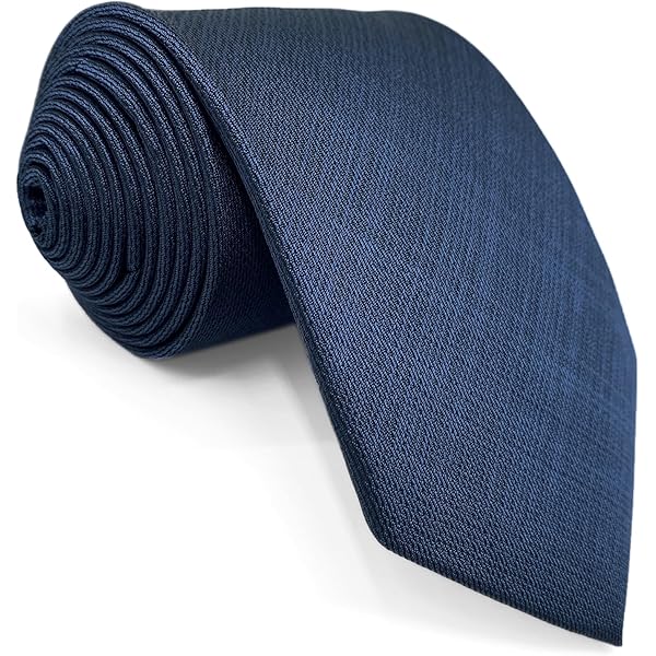 S&W SHLAX&WING Cravatte Rayée Bleu Homme Affaires Formel Pour