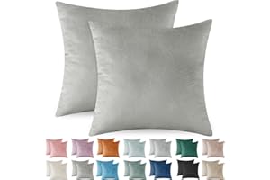 Ystyle Funda Cojin 60x60 de Terciopelo Juego de 2 Funda de Almohada del Sofá Decorativas con Cremallera Invisible Suave y Lavable Antiácaros Transpirable Hipoalergénico para Cama, Gris