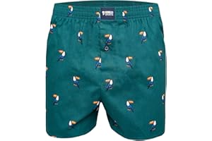 Happy Shorts Bokserki męskie amerykańskie bokserki, bokserki internetowe, Pride Big Hearts