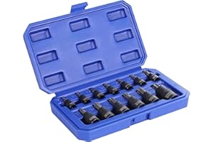 WORKPRO 13-Piece Torx Bit Socket Set, Allen Socket Set, Torx Sockets(T8-T60), Premium S2 Steel Star Bits and Cr-V Sockets with Storage Case, 1/4", 3/8" and 1/2" Drive
