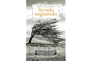Strada Sognando - Appunti di Viaggio in Bicicletta per Non Ciclisti: Attraversato dalla Patagonia - Dieci giorni senza litigare