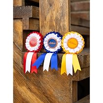 Set De 6 Rosettes Ruban Pour Chevaux De Loisir - Récompenses Colorées Pour Jeux, Fêtes, Compétitions