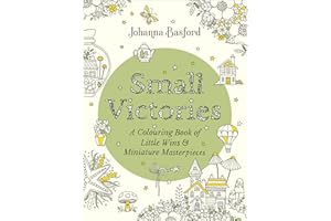 Small Victories: A Colouring Book of Little Wins and Miniature Masterpieces