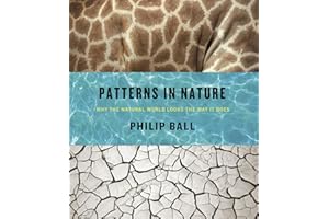 Patterns in Nature: Why the Natural World Looks the Way it Does