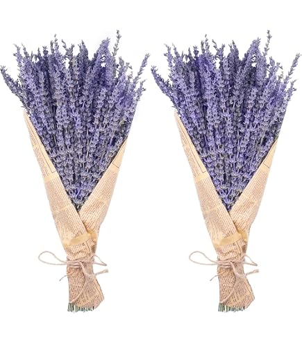 Bouquet Fleurs Séchées Gypsophile Et Lavande – Plus De 1500 Boutons, Naturel, Pour Décoration, Mariage, DIY
