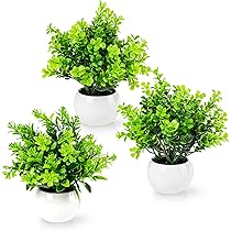Kunstplanten in een keramische pot, Tropische Piper Sylvaticum Kunstplanten in een keramische pot, Tropische Piper Sylvaticum