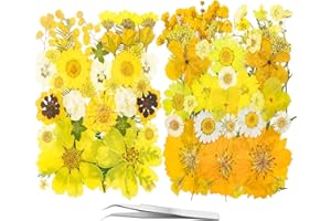 YouthBro - Set di 78 Fiori Gialli secchi pressati per Resina – Fiori di Vera Natura Erba, Set per Gioielli Fai da Te, Candele, vasi di Sapone, creazione di Unghie, Album di Ritagli