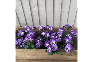 Garden 365 Artificial ​Pansy Flowers - Fake Plants for Outdoor ​or​ Indoor Use - Faux Flower Decorations ​with Fade Resistant Colour - POTS NOT INCLUDED (5 Pack - Purple)