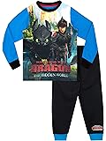 Dragons vuurspuwende draak toothless