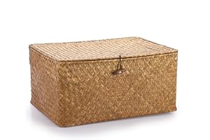 IGNPION Cesto portaoggetti in vimini intrecciato con coperchio, rettangolare, per bagno, soggiorno, decorativo, cestino portaoggetti multiuso (XL, caramelli)