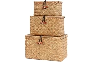 FEILANDUO - Juego de 3 cestas con tapas pequeñas tejidas a mano para almacenamiento de agrasos marinos mini cesta de escritorio organizador de maquillaje contenedor multiusos (Pequeño, Naturales)